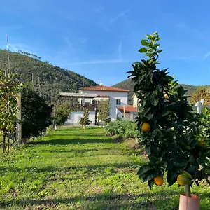 La Tenuta Di Eva , Pisa Italy